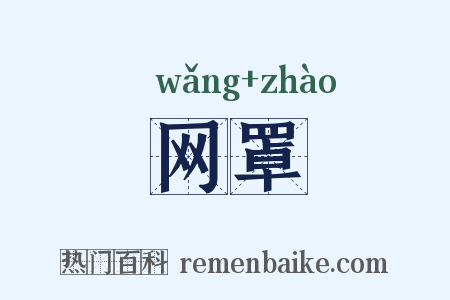网罩是什么意思的图片